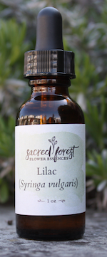 Lilac bottle